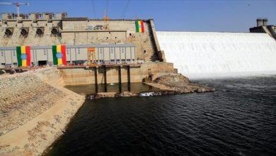 ما هي آخر مستجدات سد النهضة؟ خبير مياه مصري يجيب