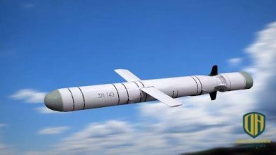 الصواريخ المجنحة…لماذا تتسابق دول الشرق الأوسط لامتلاكها؟