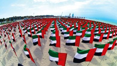 “وول ستريت جورنال”: الصين شرعت ببناء موقع عسكري سري في ميناء إماراتي