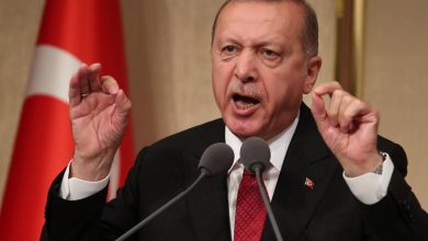 أردوغان: تركيا ستبدأ عمليات عسكرية على الحدود الجنوبية