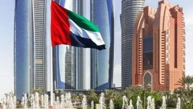 “درع” الحماية من الطائرات المسيرة.. دعوة إماراتية للجيوش الحليفة