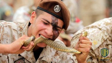 من ستكون أقوى الجيوش البرية عام 2030؟